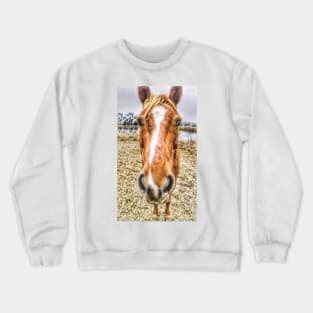 Why The Long Face?  - Graphic 2 Crewneck Sweatshirt